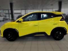 BYD DOLPHIN SURF DYNAMIC
