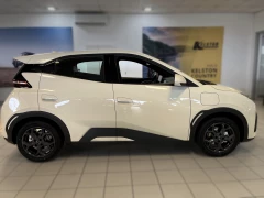 BYD DOLPHIN SURF DYNAMIC