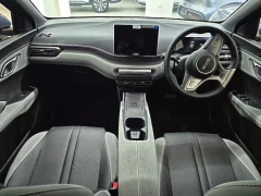 BYD DOLPHIN SURF DYNAMIC