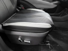 BYD DOLPHIN SURF DYNAMIC