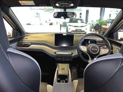 BYD DOLPHIN SURF DYNAMIC