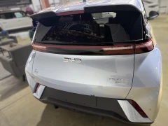BYD DOLPHIN SURF DYNAMIC