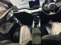 BYD DOLPHIN SURF DYNAMIC
