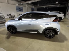 BYD DOLPHIN SURF COMFORT