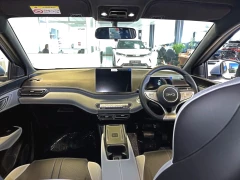 BYD DOLPHIN SURF DYNAMIC