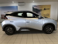BYD DOLPHIN SURF DYNAMIC
