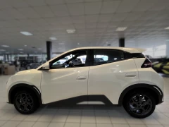 BYD DOLPHIN SURF DYNAMIC
