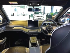 BYD DOLPHIN SURF DYNAMIC