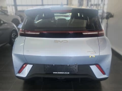 BYD DOLPHIN SURF DYNAMIC
