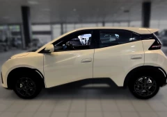 BYD DOLPHIN SURF COMFORT