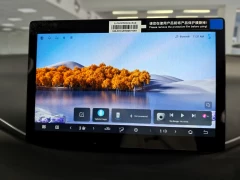 BYD DOLPHIN SURF DYNAMIC