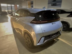 BYD DOLPHIN SURF DYNAMIC