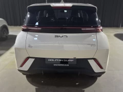 BYD DOLPHIN SURF COMFORT