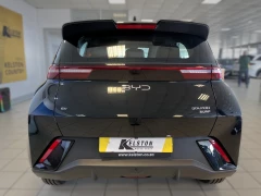 BYD DOLPHIN SURF DYNAMIC