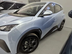 BYD DOLPHIN SURF DYNAMIC