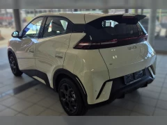 BYD DOLPHIN SURF COMFORT