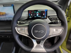 BYD DOLPHIN SURF DYNAMIC