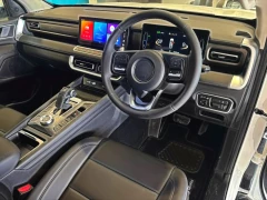 GWM P300 DOUBLE CAB 24TD LS 4X2 AT
