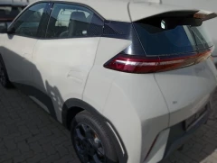 BYD DOLPHIN SURF DYNAMIC