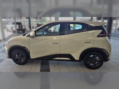 BYD DOLPHIN SURF DYNAMIC