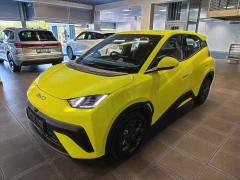 BYD DOLPHIN SURF DYNAMIC