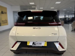 BYD DOLPHIN SURF DYNAMIC
