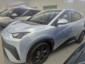 Byd Dolphin Surf Comfort