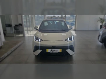 Byd Dolphin Surf Dynamic