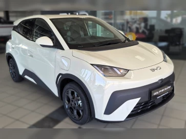Byd Dolphin Surf Dynamic