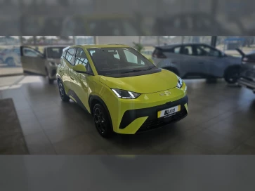 Byd Dolphin Surf Comfort