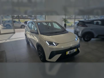 Byd Dolphin Surf Comfort