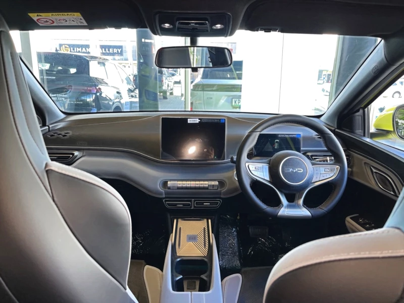 BYD DOLPHIN SURF DYNAMIC