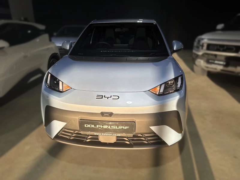 BYD DOLPHIN SURF DYNAMIC