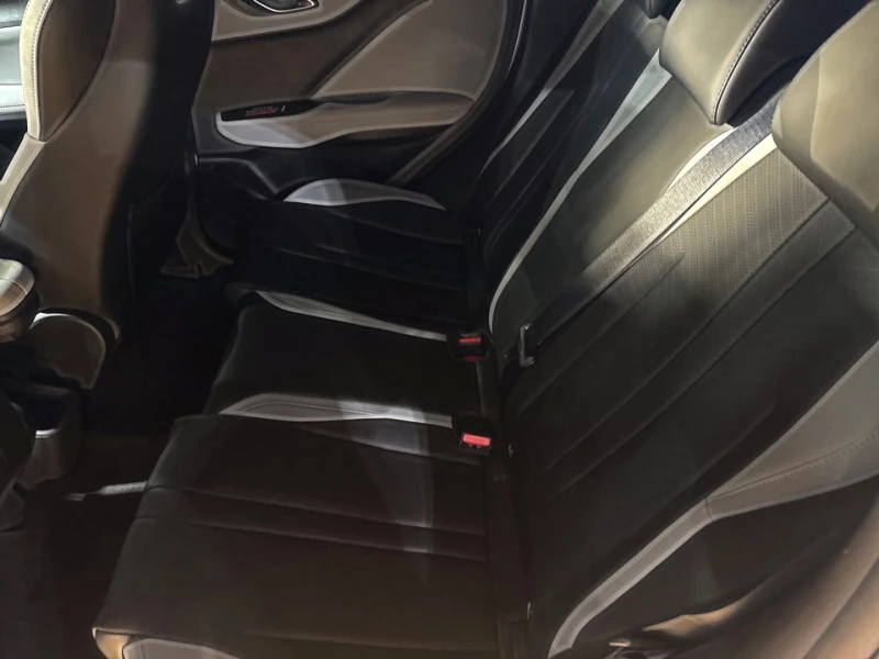 BYD DOLPHIN SURF DYNAMIC