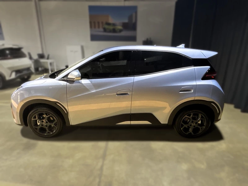 BYD DOLPHIN SURF DYNAMIC