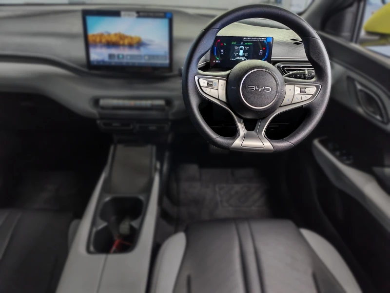 BYD DOLPHIN SURF DYNAMIC