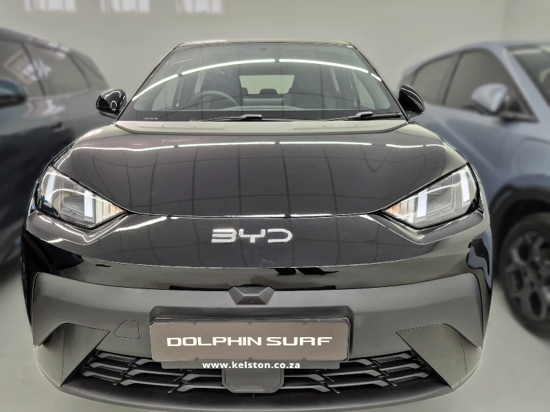 BYD DOLPHIN SURF DYNAMIC