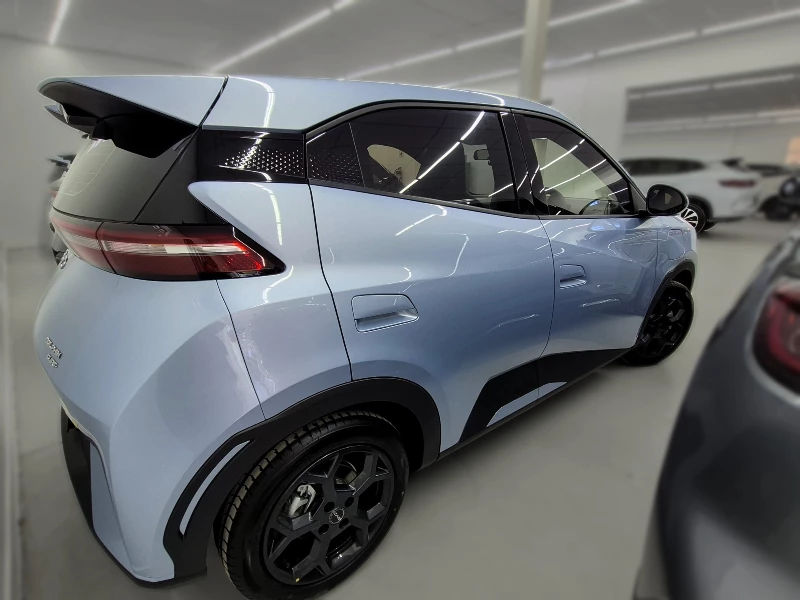 BYD DOLPHIN SURF DYNAMIC