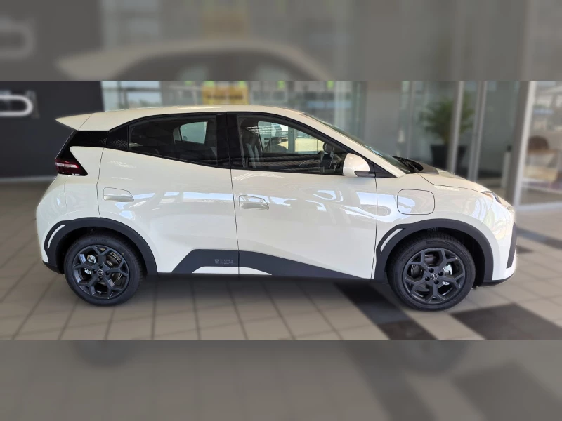 BYD DOLPHIN SURF DYNAMIC
