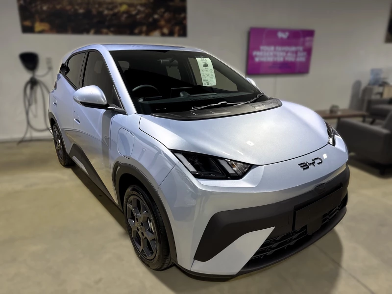 BYD DOLPHIN SURF DYNAMIC