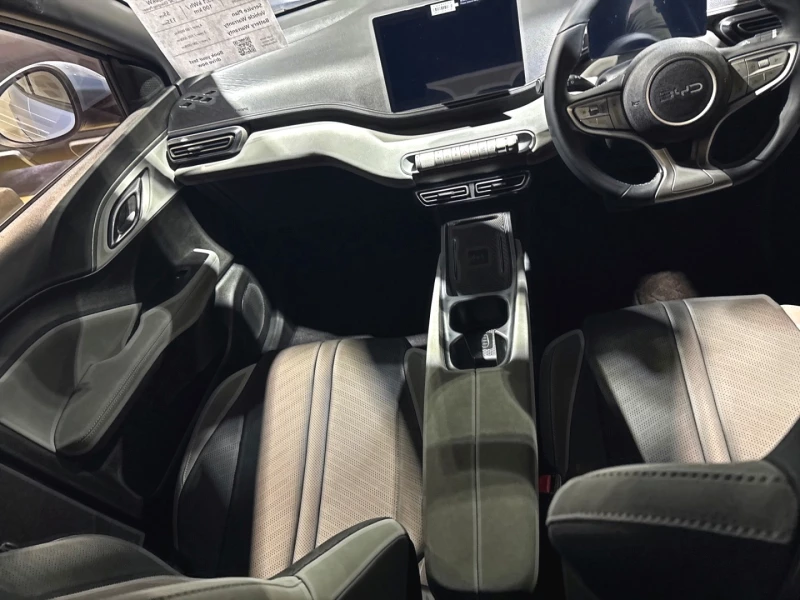 BYD DOLPHIN SURF DYNAMIC