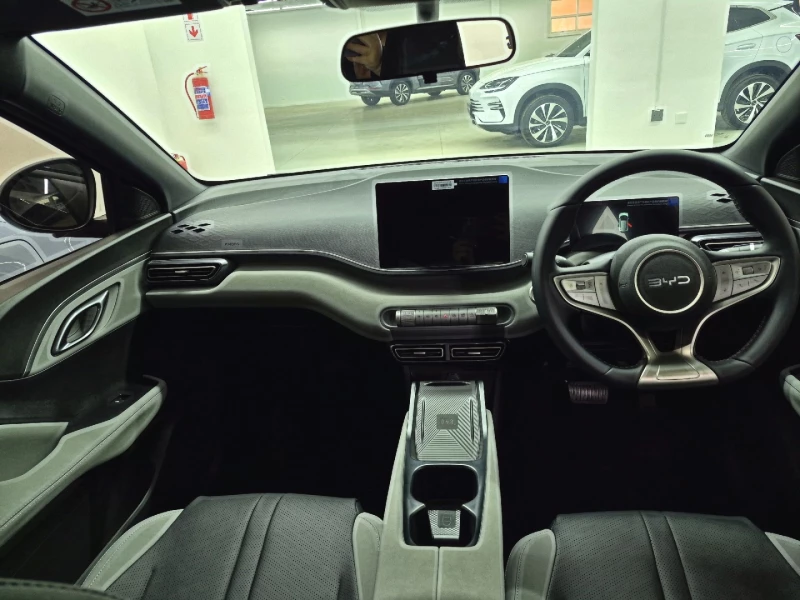 BYD DOLPHIN SURF DYNAMIC