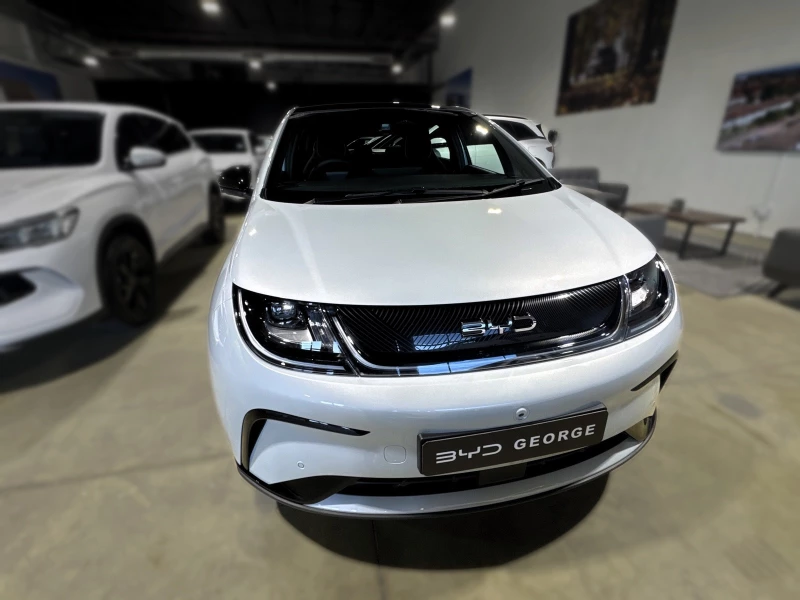 BYD DOLPHIN EM2EEZ