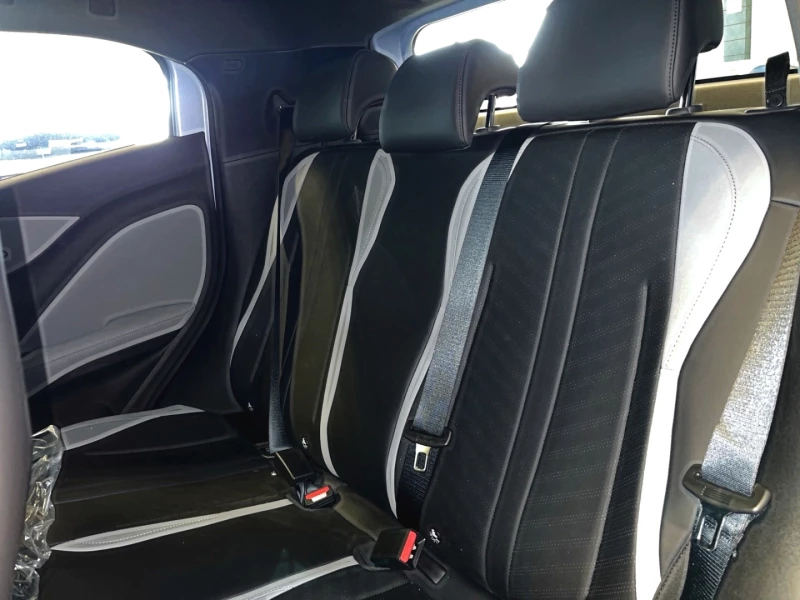 BYD DOLPHIN SURF DYNAMIC