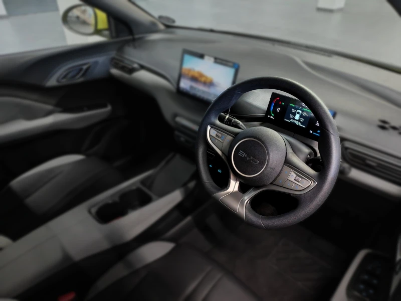 BYD DOLPHIN SURF DYNAMIC
