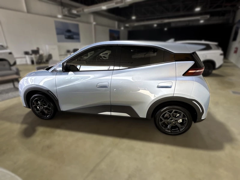 BYD DOLPHIN SURF COMFORT