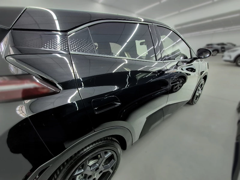 BYD DOLPHIN SURF DYNAMIC