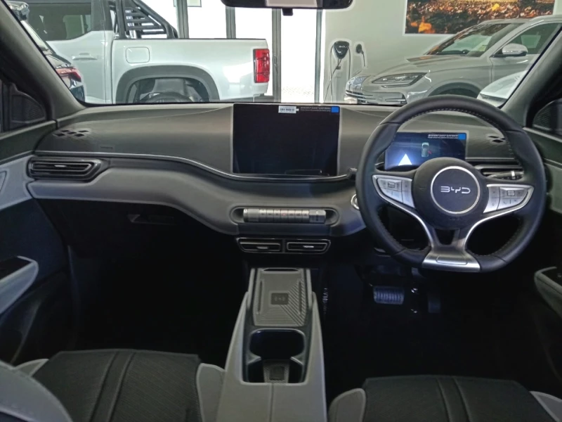 BYD DOLPHIN SURF DYNAMIC
