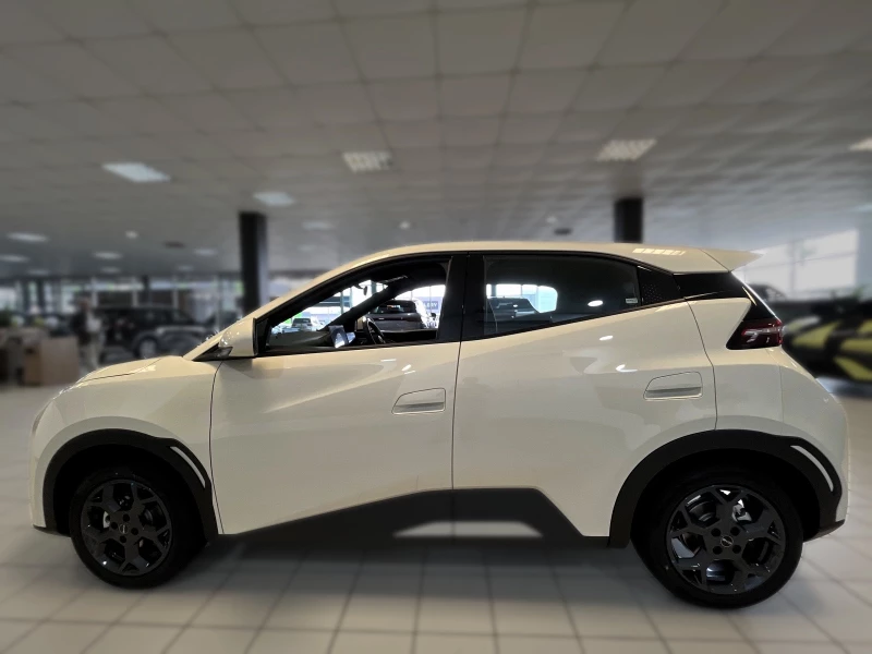 BYD DOLPHIN SURF DYNAMIC