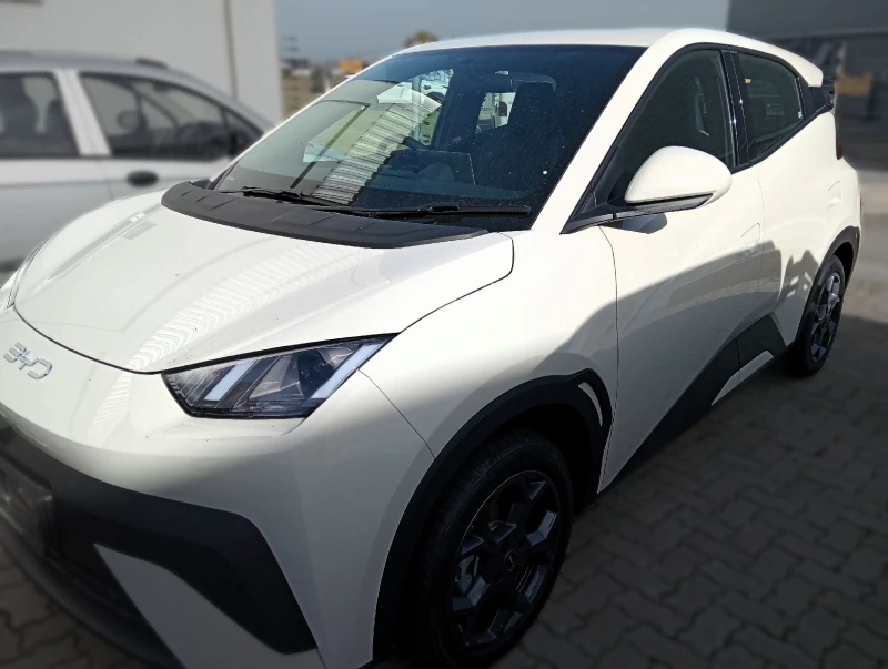 BYD DOLPHIN SURF DYNAMIC